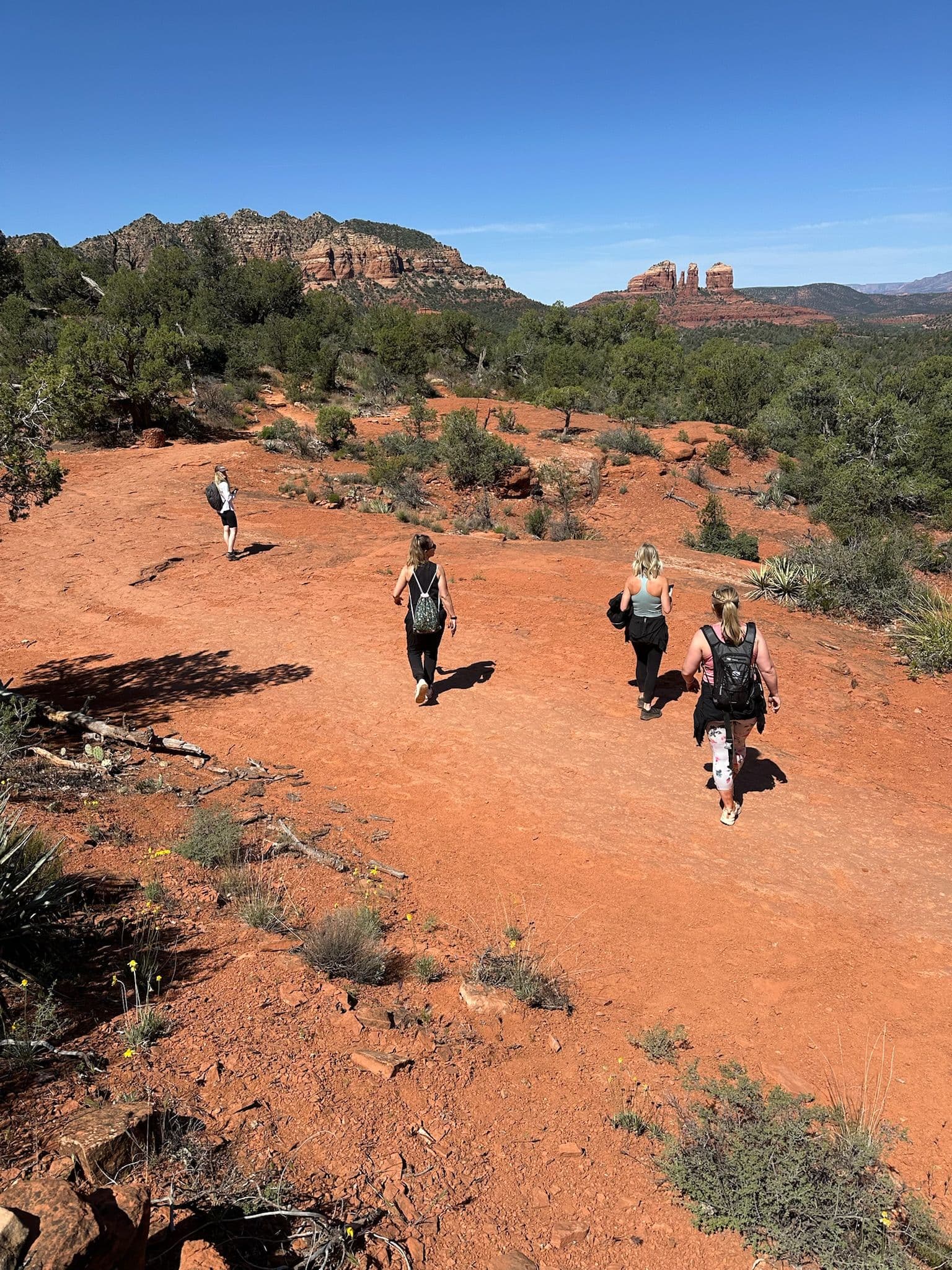 Four hikers on a red dirt trail in Sedona, Arizona with Cathedral Rock and desert vegetation visible in the background